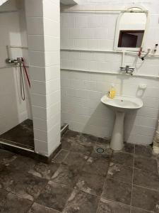 a bathroom with a sink and a shower at jack hostel with private bathroom in Sremski Karlovci