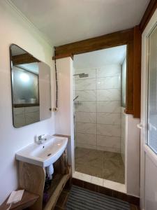 a bathroom with a sink and a shower at Pustirnik in Rakhiv +14 photos