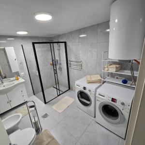 a bathroom with a washing machine and a shower at Pri tetki 2 in Kranj