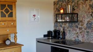 a kitchen with a stove and a counter top at Kellerstöckl am Neusetzberg in Straden