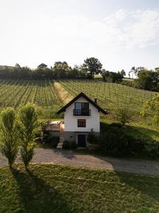 a small white house in the middle of a field at Kellerstöckl am Neusetzberg in Straden