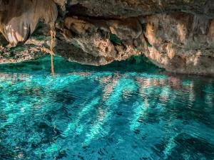 a pool of blue water in a cave at Treehouse Tulum H2Ojos in Tulum