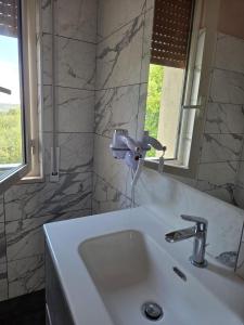 a bathroom with a sink and a faucet at B & B L'Altropianeta in Spoltore