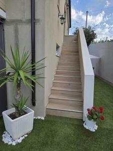 a staircase leading up to a house with a plant at B & B L'Altropianeta in Spoltore