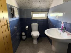 a blue bathroom with a toilet and a sink at Camping Culaj in Koplik