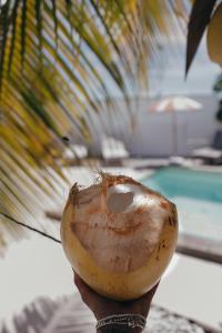 a person holding a coconut in front of a pool at La petite villa in Le Gosier