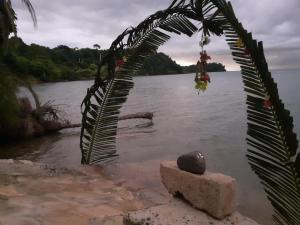 a view of a body of water with a tree at Villa Armor in Nosy Be