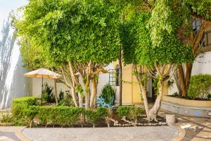 a group of trees and an umbrella next to a building at Hotel San Jose Centro Historico in San Luis Potosí