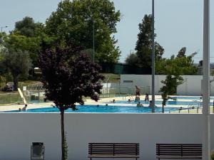 a swimming pool with people in it with a tree at Á-do-Couve in Alvito