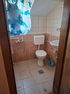 a bathroom with a shower and a toilet and a sink at Apartmani Lazić No 11 in Gracanica