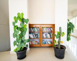 two potted plants in front of a book shelf at Swapnatheeram Beach Resort in Kovalam