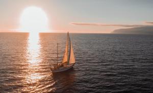 a sail boat in the ocean with the sun setting at Spica in Funchal