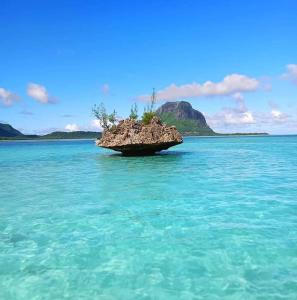 a small island in the middle of the ocean at Sweet Beach Bungalow in Tamarin