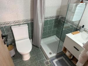 a bathroom with a toilet and a shower and a sink at PETROKALIVa in Galatás