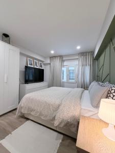 a bedroom with a large bed and a television at Blue rooms in Bilbao +12 photos