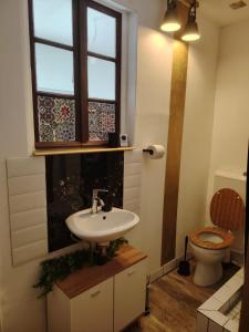 a bathroom with a sink and a toilet and a window at Studio Kyllburg-Eifel in Kyllburg