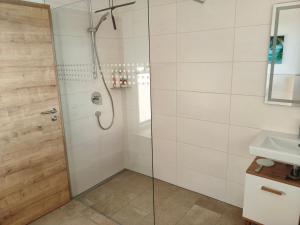 a shower with a glass door in a bathroom at Morgenrot Panorama Apartment 1 - Terrasse in Gnotzheim