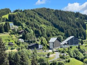 an aerial view of a village in the mountains at Fernblick Appartement Simonhöhe in Zirkitz
