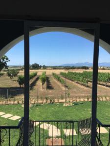 a view of a vineyard from a window at Villa Archontiko in Mirodháton