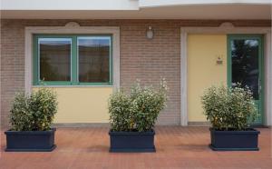 three potted plants sitting in front of a building at Palazzo house in Palazzo