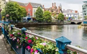 a row of flowers on a fence next to a river at Glencar in Sligo +12 photos