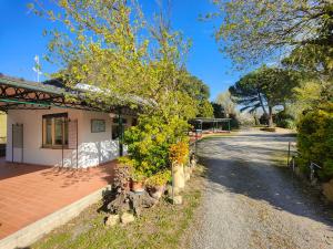 a tree in front of a building with a driveway at Camping Volterra in Volterra