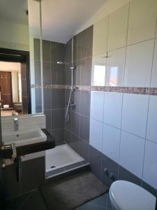 a bathroom with a shower and a sink and a toilet at Petra in Poreč +7 photos