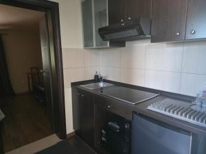 a kitchen with a sink and a counter top at Petra in Poreč