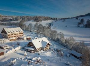 an aerial view of a house covered in snow at Penzion pod Šerákem - celý objekt Ostružná - Jeseníky in Ostružná