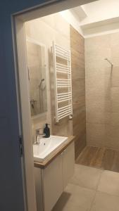 a bathroom with a sink and a shower with a mirror at Apartament centrum-rynek Gorzów Wlkp. in Gorzów Wielkopolski