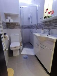 a bathroom with a shower and a toilet and a sink at Apartments Knežević in Ulcinj +77 photos