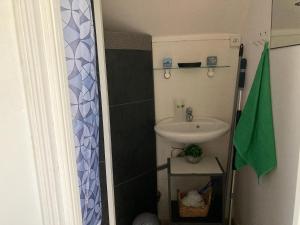 a small bathroom with a sink and a shower at chambre spacieuse indépendante PDJ inclus in Plougastel-Daoulas