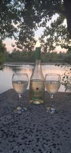 two wine glasses sitting next to a bottle of alcohol at Vikendica Sejšeli na Drini in Lipnički Šor