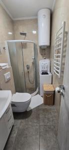 a bathroom with a shower and a toilet and a sink at Apartmani Furesti 2 in Donji Stoliv +6 photos