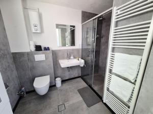 a bathroom with a shower and a toilet and a sink at Boendgen's Ferienhaus mit Moselblick in Zell an der Mosel +6 photos