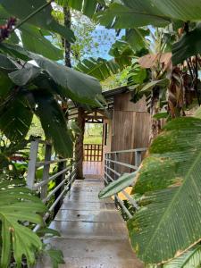 a wooden walkway leading to a building with lush green leaves at House Rio Celeste Paradise in Rio Celeste +37 photos