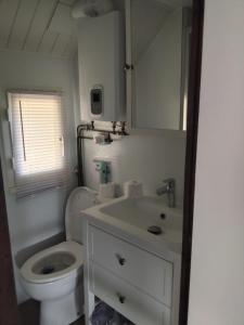a bathroom with a toilet and a sink and a mirror at chalet les pieds dans l'eau in Neuvic