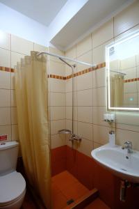 a bathroom with a shower and a toilet and a sink at Anesis in Ioannina