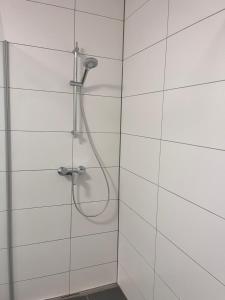 a shower with a shower head in a bathroom at Ferienhaus Michi in Ursprung +3 photos