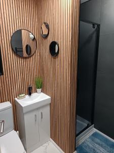 a bathroom with a toilet and a sink and a mirror at Dover White Cliff Apartment in Dover