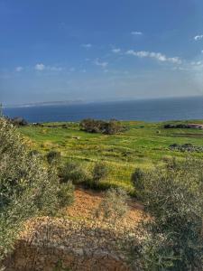 a green field with the ocean in the background at Villa D'aragona Windmill in Għajnsielem