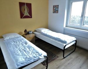 zwei Betten in einem Zimmer mit Fenster in der Unterkunft Viamalablick in Thusis