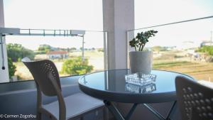 a glass table with chairs and a vase with a plant at Costa Varda Apartments in Mourteri
