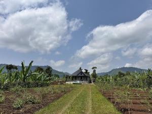 a house in the middle of a field with a house at Hilm cottage in Āwasa