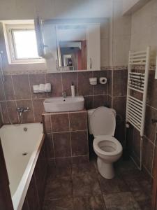 a bathroom with a toilet and a sink and a tub at Apartament OAȘUL 2 in Hurez