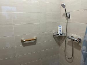 a shower with a shower head in a bathroom at Mazsola apartman in Hódmezővásárhely