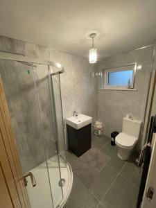 a bathroom with a shower and a toilet and a sink at CamCosy Retreat in Gortin