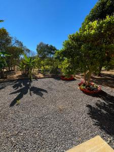 a garden with two trees and flowers on gravel at Chácara Orvalho da Chapada in Cavalcante