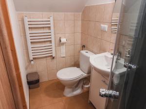 a small bathroom with a toilet and a sink at Pokoje Gościnne Wróblówka in Laskowa +30 photos