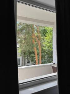 a window with a view of a tree at Apartament Central Pietonalul Unirii in Botoşani